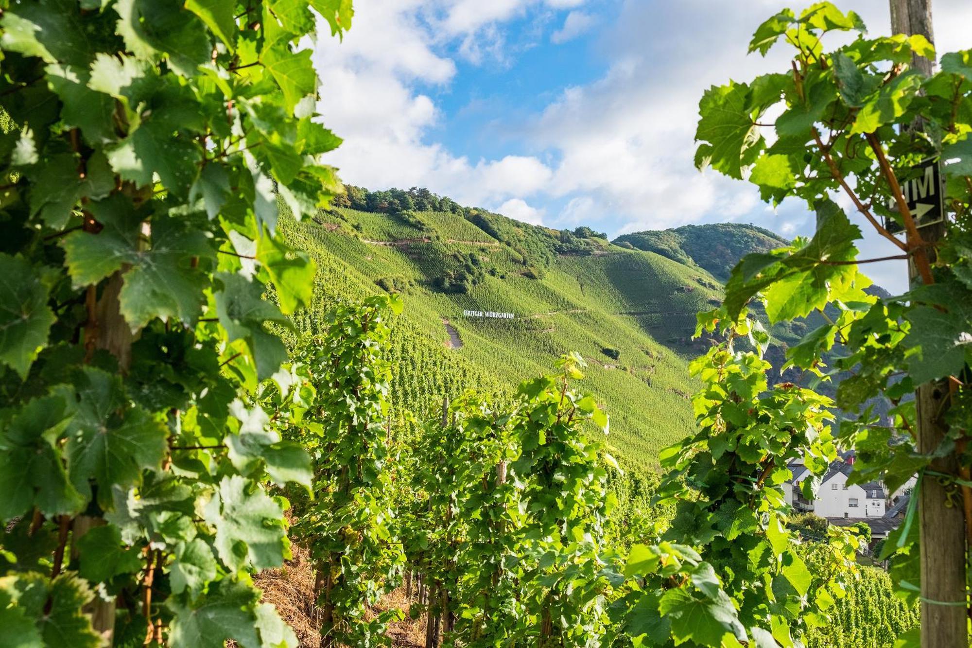 Weingut / Gaestehaus Gerlach Ürzig Buitenkant foto