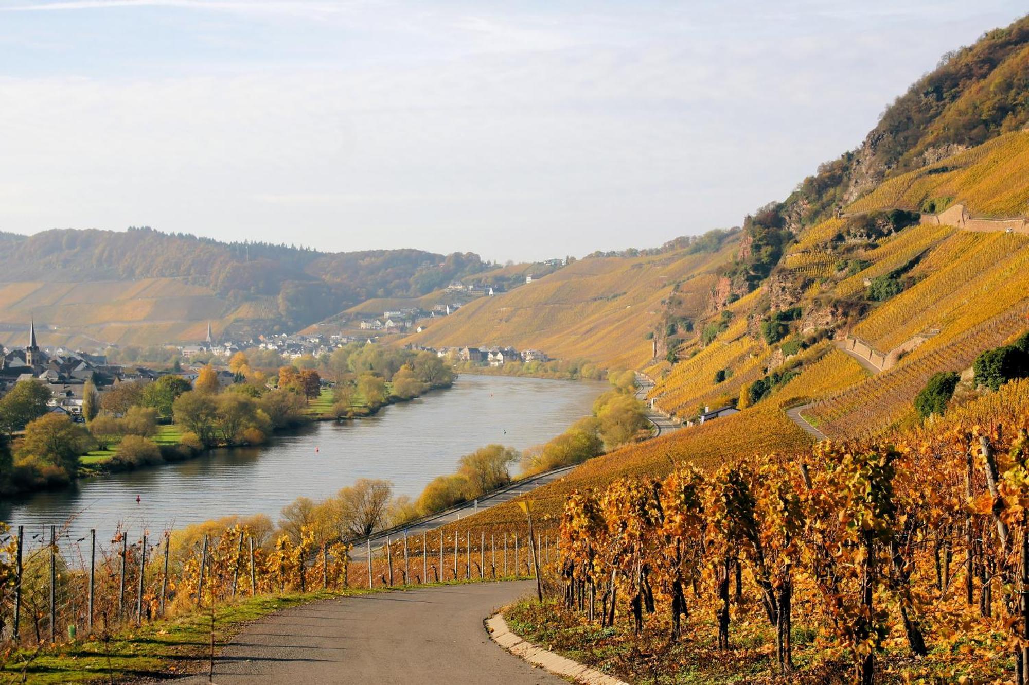 Weingut / Gaestehaus Gerlach Ürzig Buitenkant foto