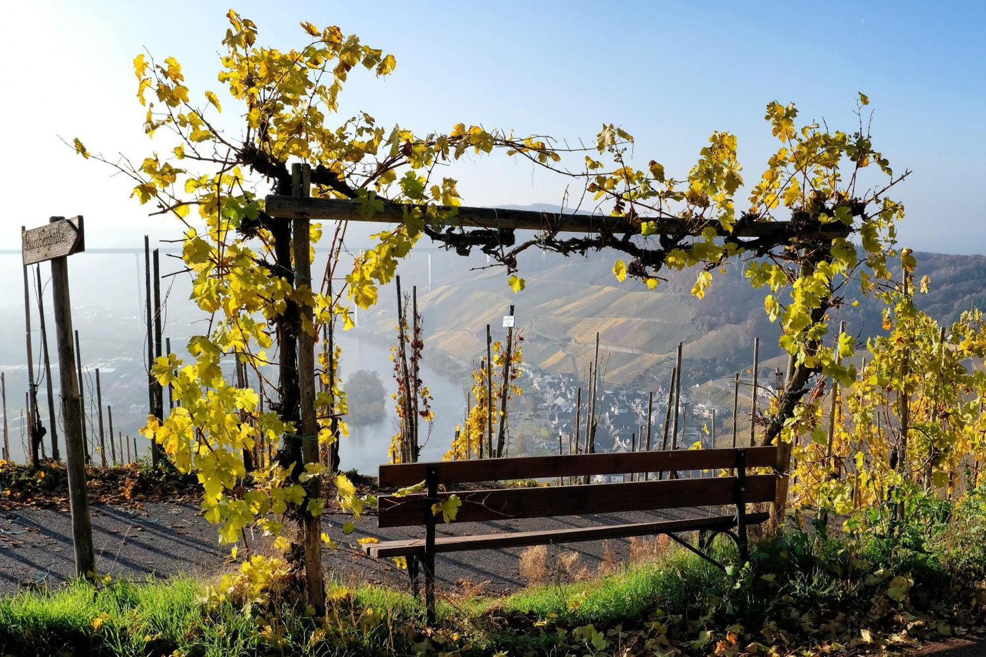 Weingut / Gaestehaus Gerlach Ürzig Buitenkant foto