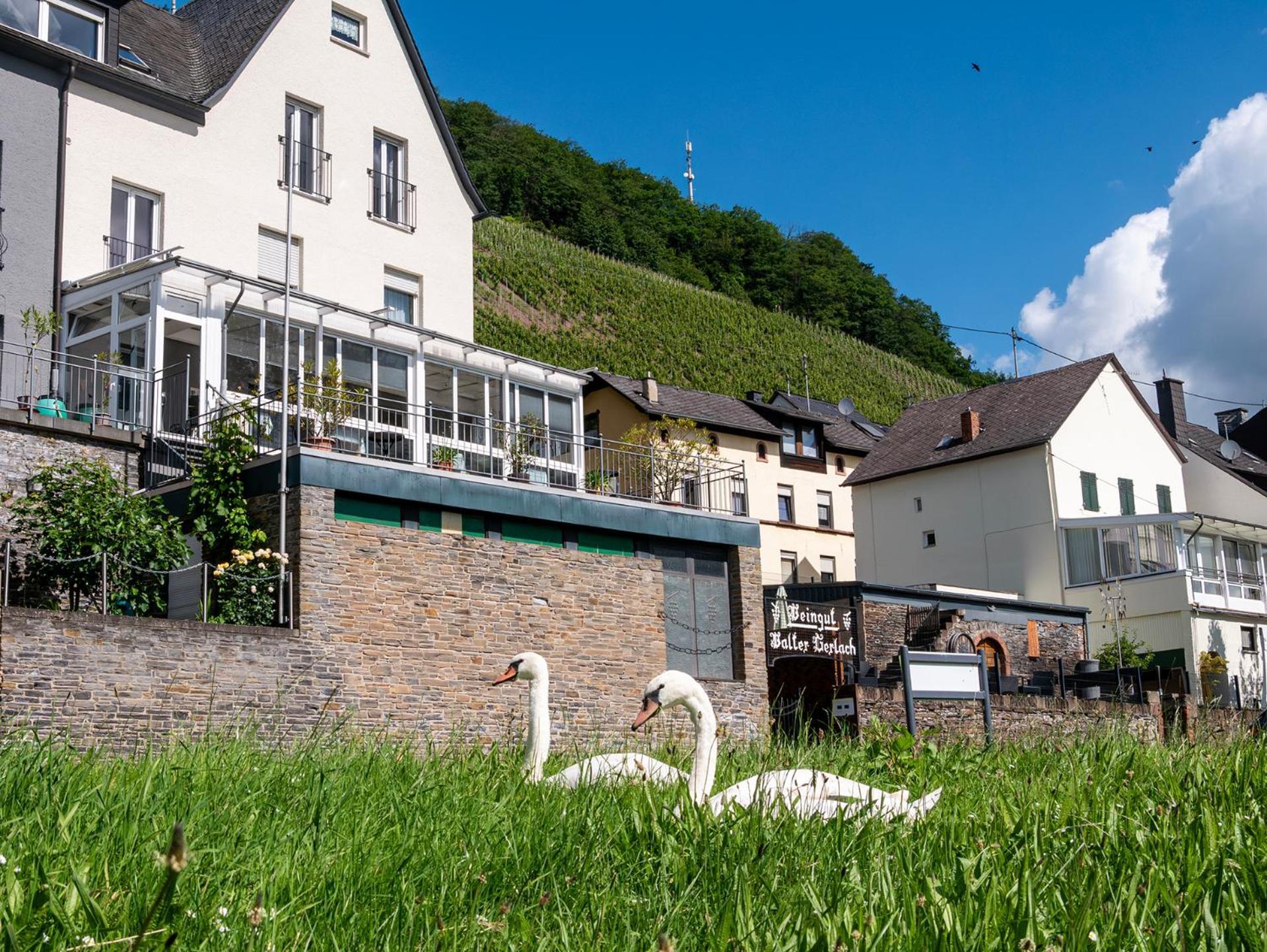 Weingut / Gaestehaus Gerlach Ürzig Buitenkant foto