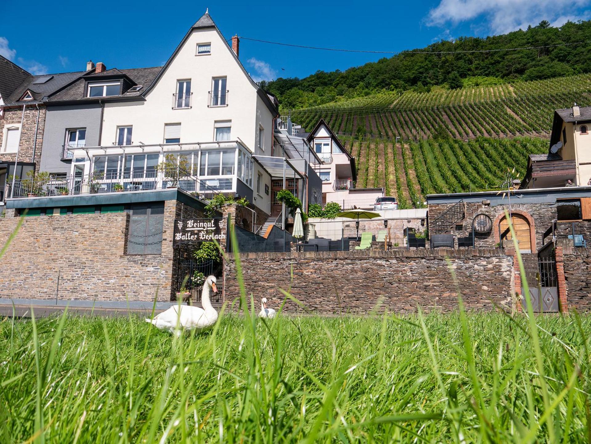 Weingut / Gaestehaus Gerlach Ürzig Buitenkant foto